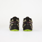 Tenisky Salomon Speedcross 3 GTX Silves/ Huckle/ Blac EUR 42