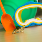 Safari Ltd. Safari Ltd. Mláďa morskej korytnačky