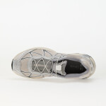 Tenisky Salomon XT-WHISPER Ftw Silver/ LunRoc/ Slv Cl EUR 45 1/3