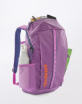 Patagonia Black Hole Pack 25L Brisk Purple