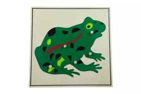 Moyo Montessori Moyo Montessori Puzzle - žaba
