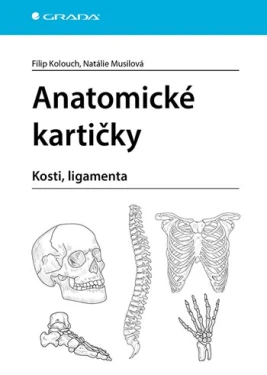 Anatomické kartičky, Kolouch Filip