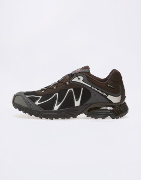 Salomon XT-Whisper Void GTX Delicioso / Asphalt 41 1/3
