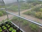 Polykarbonátový skleník – LANITPLAST KYKLOP2, PC 4 mm, 2x2 m