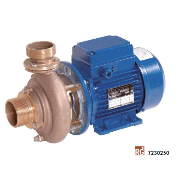 Hugo Lahme FitStar bazénové čerpadlo protiprúdu - 18,5 m3 / h, 1,1 kW, 230 / 400 V, 50 / 60 Hz, červený bronz - pre bazény do 30 m3