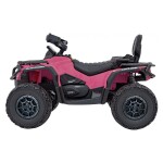 Mamido Detská elektrická štvorkolka Can-Am Outlander ATV ružová
