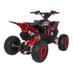 Mamido Detská benzínová štvorkolka RamiGO DESERT STORM LIFT 125CC červená