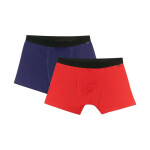 Pánske boxerky 4F M059 2-pack multicolor 2 4FWMM00UBXSM059 92S XL