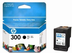 HP Toner CC640EE nr 300 (black)