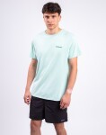 Patagonia Fitz Roy Icon Responsibili-Tee Rinsed Green S