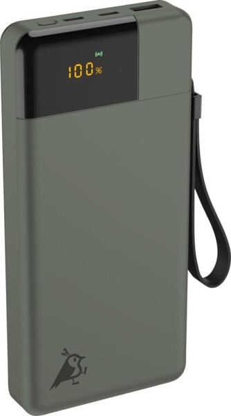 RivaCase Aqiila Powerbird B20 Powerbank 20W moss green 20.000 mAh