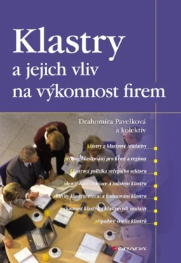 Klastry a jejich vliv na výkonnost firem, kolektiv pedagogů: