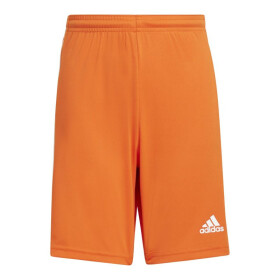 Squadra 21 šortky Adidas