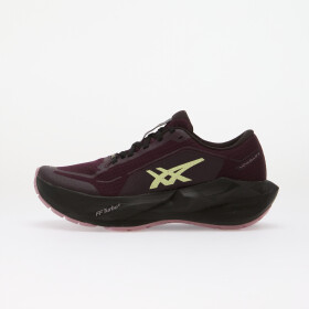 Tenisky Asics Novablast 6 Gtx Dark Aubergine/ Black EUR 40