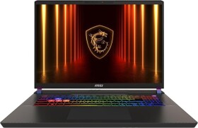 MSI Vector 17 HX AI A2XWJG-089XPL / 64 GB RAM / 1 TB SSD PCIe