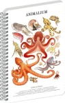 NOTIQUE Animalium - Hlavonožce / Špirálový blok / linajkový / A5