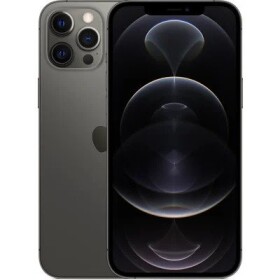 IPhone 12 Pro Max 256GB sivá
