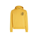 O'Neill Future Surf Society Hoodie W 92800613435 S