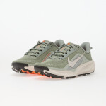 Tenisky Nike Acg Pegasus Jade Horizon/ Phantom-Light Silver EUR 38
