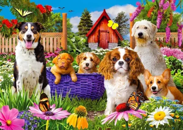 ENJOY Puzzle Šteňacia hliadka