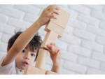 PlanToys PlanToys Prírodná stavebnica (50 ks)