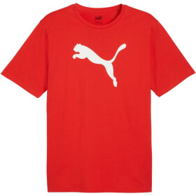 Puma Team Rise Logo Jersey Cotton M 658705 01 Pánske M
