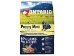 Ontario Dog Puppy Mini Lamb