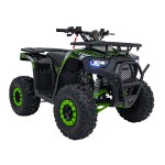 Mamido Detská benzínová štvorkolka RamiGO DISCOVERER 125CC čierno-zelená