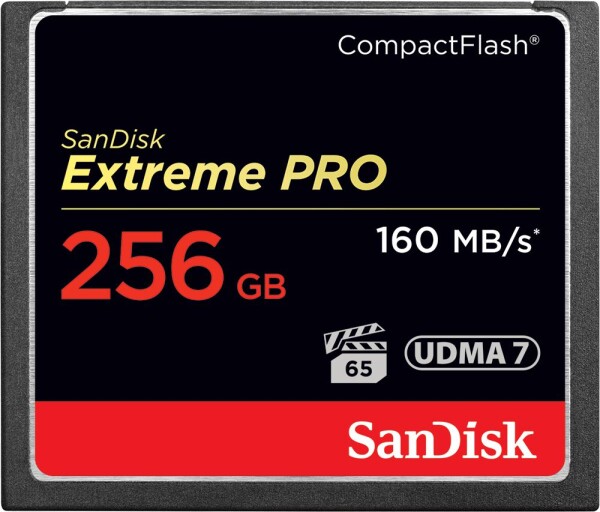 SanDisk Extreme Compact Flash (SDCFXPS-256G-X46)