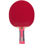Raketa na stolný tenis Atemi 2000 stolní tenis