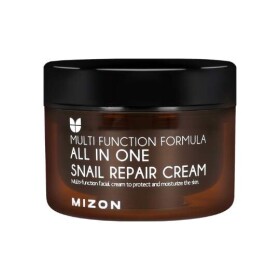 MIZON All in one snail repair cream 120 ml