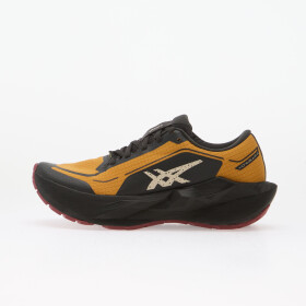 Tenisky Asics Novablast 6 Gtx Sandstorm/ Black EUR 45