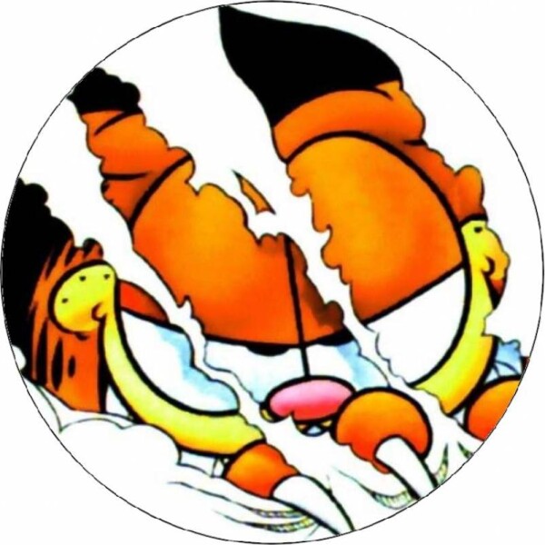 Jedlý papier potrhaný Garfield 19,5 cm - Pictu Hap - Pictu Hap