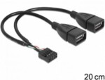 Delock 2x USB 2.0 samica na pinový konektor