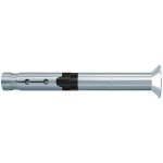 Fischer FH II 12/25 SK vysokovýkonná kotva 100 mm 12 mm 44918 25 ks; 44918