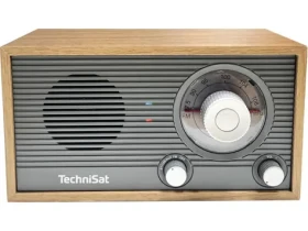 TechniSat CLASSIC 205 gray/ Golden oak (V058A8F)