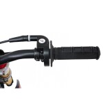 Mamido Detská benzínová motorka RamiGO NITRO 60CC červená