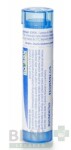 CINNABARIS 9CH granule 4 g