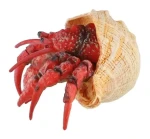 ZOOTED Figúrka Krab pustovník