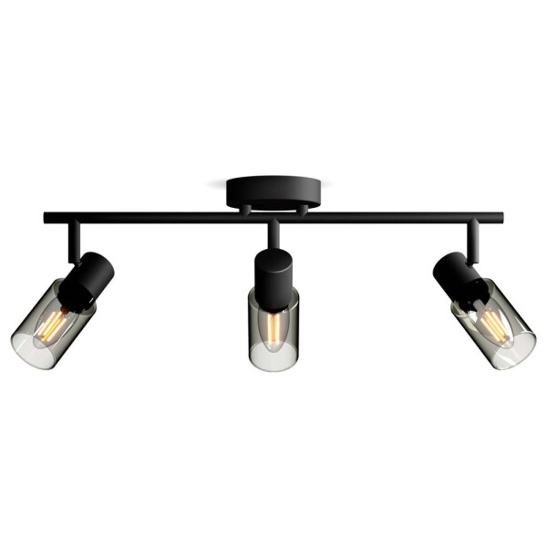 Philips Palms 8720169299313 stropná lampa E14 čierna; 8720169299313