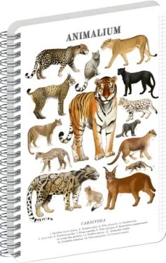 NOTIQUE Animalium - Mačkovité šelmy / Špirálový blok / A4 / štvorčekový