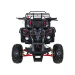 Mamido Detská benzínová štvorkolka RamiGO WILDPEAK 110CC čierno-červená