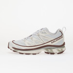 Tenisky Salomon XT-6 Expanse Anciew/ Bchoco/ Ftw Silv EUR 39 1/3
