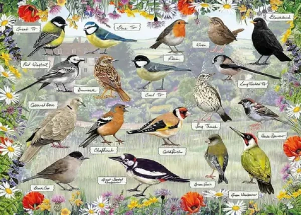 GIBSONS Puzzle RSPB: Šťastní vtáčiky