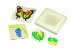 Moyo Montessori Moyo Montessori Životný cyklus motýľa