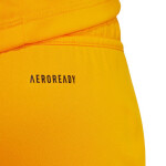 Šortky adidas Tiro 24 M JN4497 XL