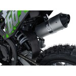 Mamido Detská benzínová motorka RamiGO IMMORTAL 110CC zelená
