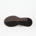 Tenisky adidas Terrex Free Hiker 2 Gtx W Trace Brow/ Wonder Aluminium/ Carbon EUR 38 2/3