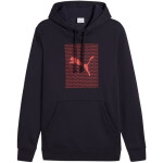 Pánska mikina Puma Ess Logo Lab Hoodie FL M 684669 16 L
