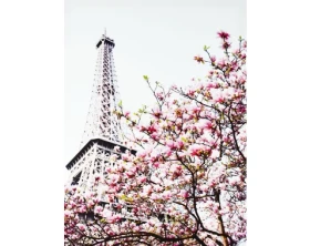 Obraz na plátne Jar v Paríži, 50x70 cm%